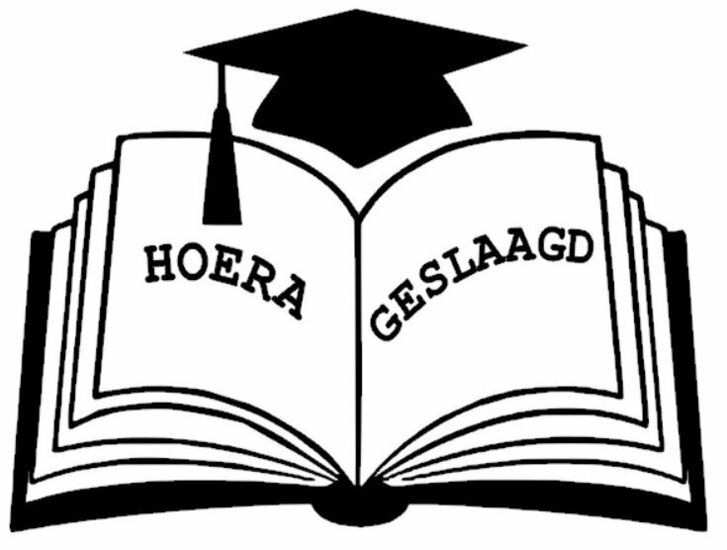 Sticker raam hoera geslaagd boek | Rosami