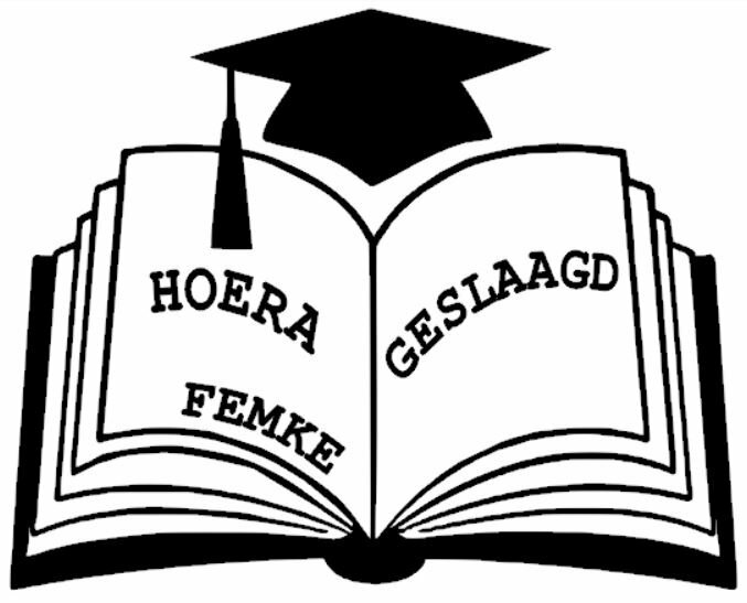 Sticker raam hoera geslaagd boek | Rosami