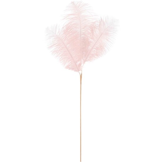 Dekoratief | Deco tak m/veren, roze, 70cm | A229086