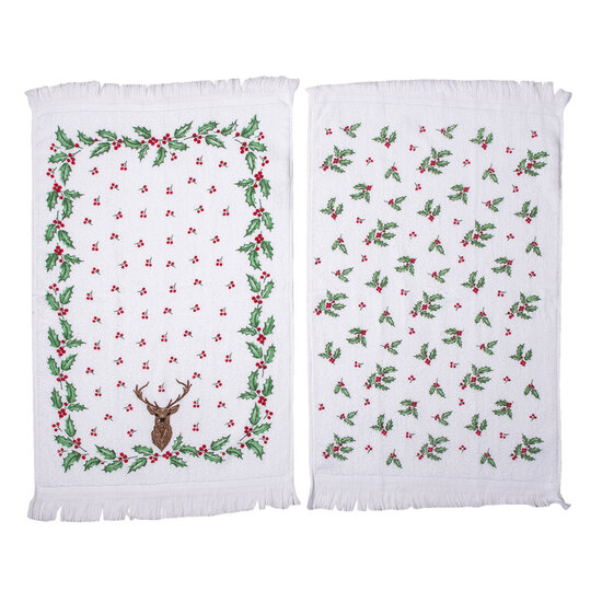 Clayre &amp; Eef   | Gastendoekje Set van 2 Wit, Rood, Groen 40x66 cm | CTSETHCH