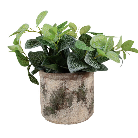 Clayre &amp; Eef   | Bloempot Binnen Beige Groen &oslash; 14x12 cm | 6TE0516M