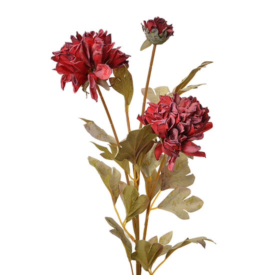 Clayre &amp; Eef   | Decoratie tak met bloemen Rood 9x9x68 cm | 6PL0328DP