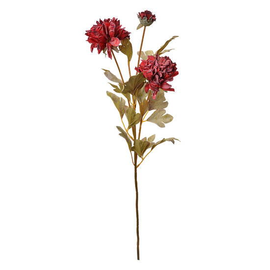 Clayre &amp; Eef   | Decoratie tak met bloemen Rood 9x9x68 cm | 6PL0328DP