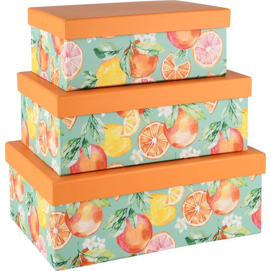 Dekoratief | Set 3 dozen rechthoek &#039;Citrus Fruits&#039;, karton, 26x18x10cm | A250782