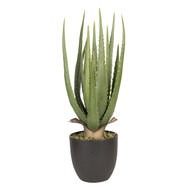 Decoratie kamerplant aloe vera 14*14*46 cm Groen | 6PL0214 | Clayre &amp; Eef