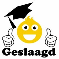 Sticker raam geslaagd smiley geel zwart 30 x 30 cm | Rosami