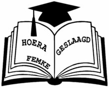 Sticker raam hoera geslaagd boek | Rosami