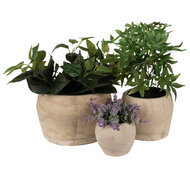 Clayre &amp; Eef   | Bloempot set van 3 Bruin &oslash; 24x15 / &oslash; 18x13 / &oslash; 12x10 cm | 6H2136