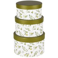 Dekoratief | Set 3 dozen rond &#039;Olives&#039;, karton, 21x21x13cm | A240221