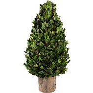 Dekoratief | PlantenKegel vorm op voet, groen/naturel, PVC, 25x25x52cm | A240966