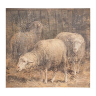 Clayre &amp; Eef   | Canvasschilderij Bruin, Beige 50x3x50 cm | 65308