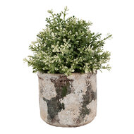 Clayre &amp; Eef   | Bloempot Binnen Beige Groen &oslash; 17x15 cm | 6TE0516L