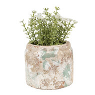 Clayre &amp; Eef   | Bloempot Binnen Beige Groen &oslash; 11x9 cm | 6TE0539S