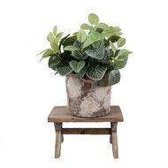 Clayre &amp; Eef   | Plantentafeltje Bruin 24x13x14 cm | 6H2315