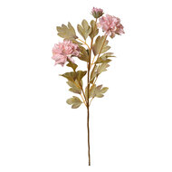 Clayre &amp; Eef   | Decoratie tak met bloemen Roze 9x9x68 cm | 6PL0328P