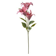 Clayre &amp; Eef   | Decoratie tak met bloemen Roze Groen 15x10x72 cm | 6PL0337P