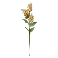 Clayre &amp; Eef   | Decoratie tak met bloemen Beige Groen 12x5x71 cm | 6PL0338W