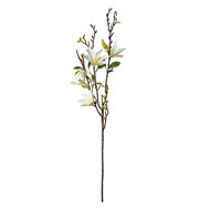 Clayre &amp; Eef   | Decoratie tak met bloemen Wit Groen 15x7x84 cm | 5PL0129W