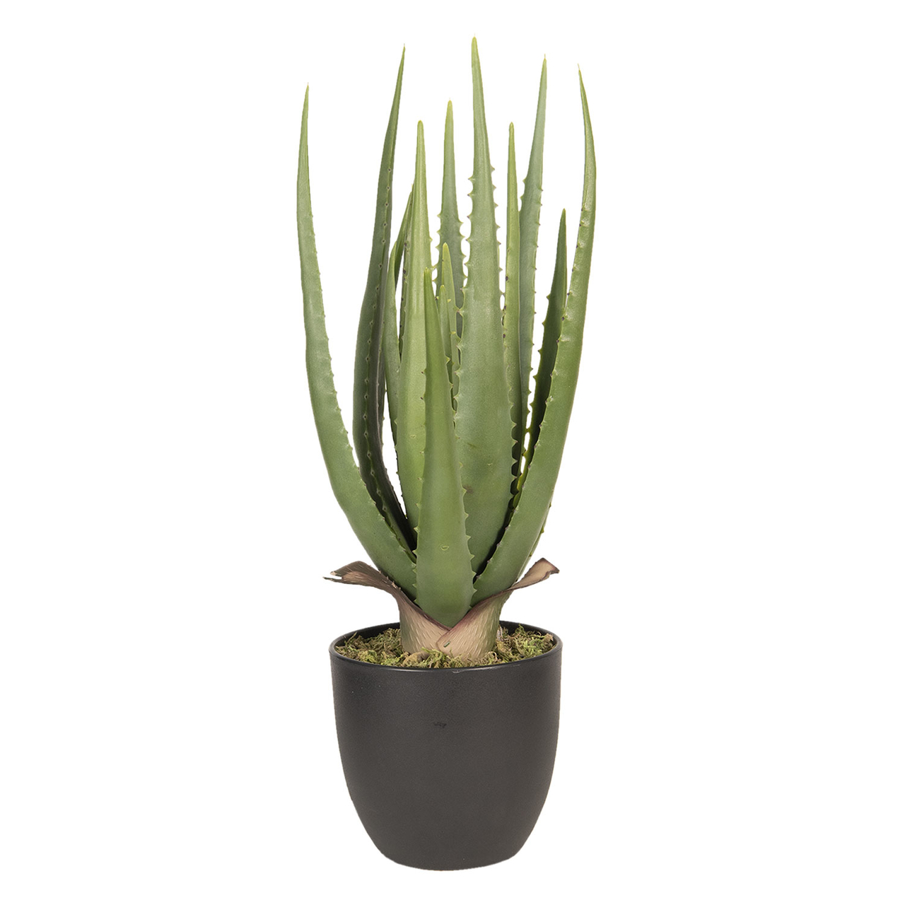 Decoratie kamerplant aloe vera 14*14*46 cm Groen | 6PL0214 | Clayre & Eef